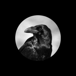 gay男男灌肠在线观看
