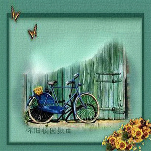 gay男男灌肠在线观看
