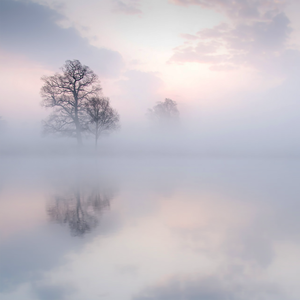 gay男男灌肠在线观看
