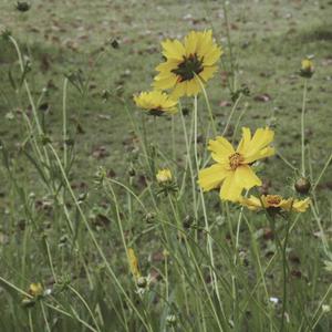 gay男男灌肠在线观看
